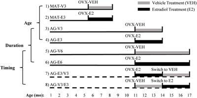 Regulation of Gonadotropin-Releasing Hormone-(1–5) Signaling Genes by Estradiol Is Age Dependent